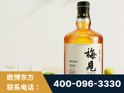 信阳-梅见青梅酒